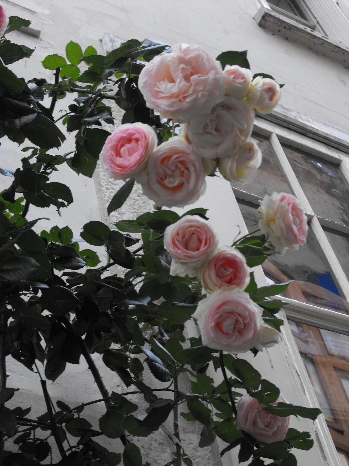La Demeure Saint-Ours Bed & Breakfast Loches Ngoại thất bức ảnh